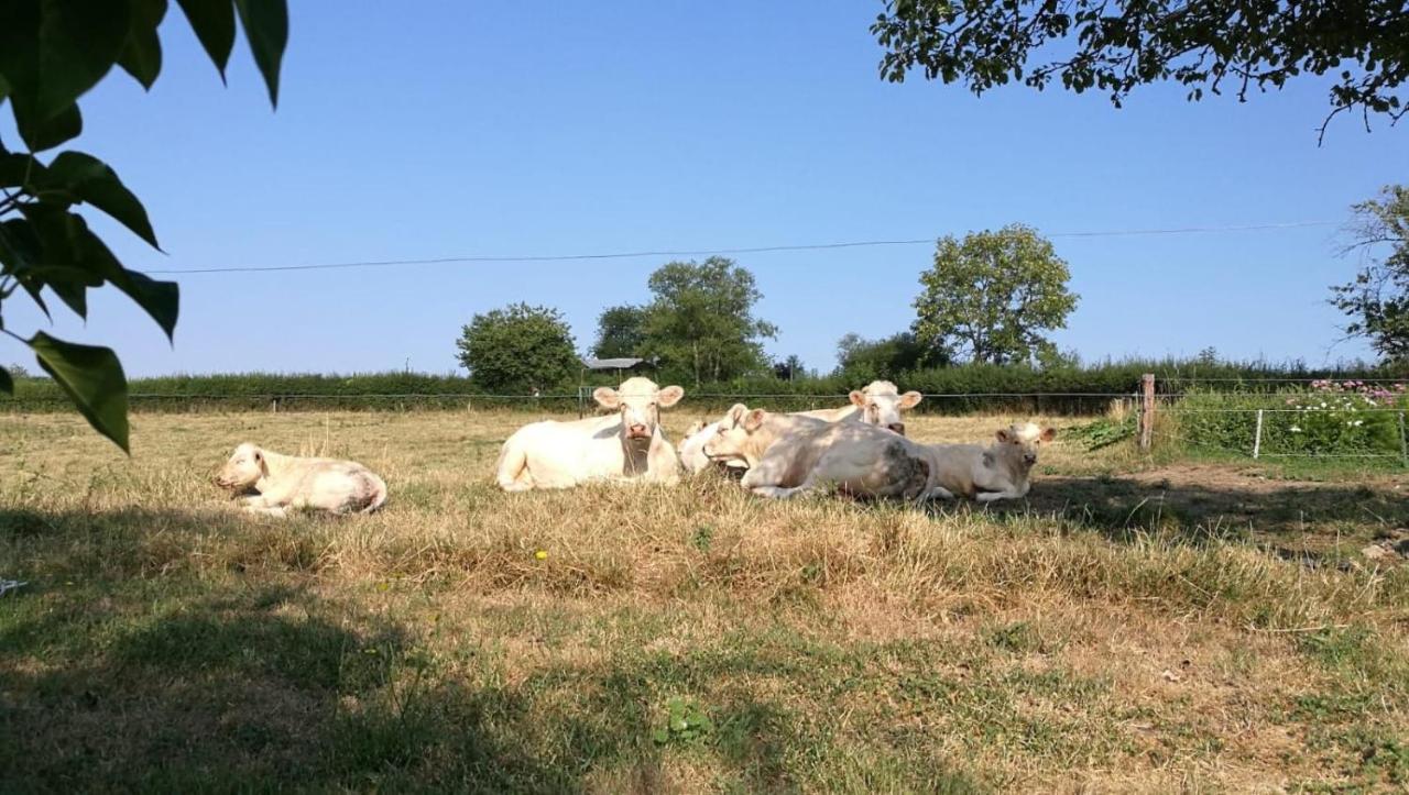 Gites Luzy Morvan Bourgogne Buitenkant foto